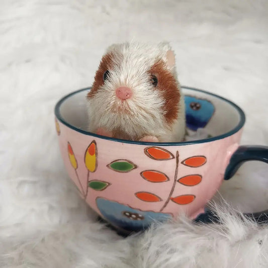 Authentic Animal Doll:5 Inch Full Silicone Mini Size Hamster