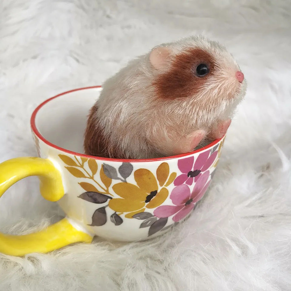 Authentic Animal Doll:5 Inch Full Silicone Mini Size Hamster
